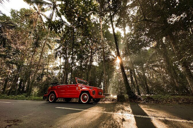 Vintage Volkswagen Bali Tour - Coffee Break and a Closer Look at a Balinese Compound