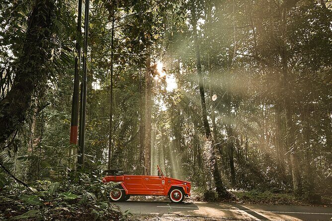 Vintage Volkswagen Bali Tour - Pura Agung Gunung Raung Taro: The Included Gate Photo Stop