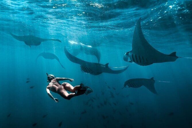 VIP Private Boat to Nusa Penida: Snorkeling with Mantas + Land Tour Adventure - Gamat Bay and Wall Bay Point: Reef Beauty with a Current Edge
