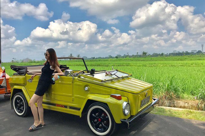 VW Safari,Bayan Ancient Tree,Jatiluwih,Wanagiri,Banyumala Twin Waterfalls - Key Things I’d Remember From This Ubud VW Safari