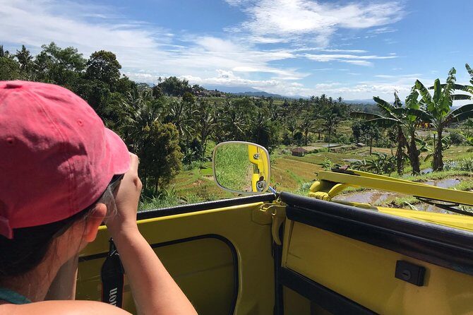 VW Safari,Bayan Ancient Tree,Jatiluwih,Wanagiri,Banyumala Twin Waterfalls - Practical Tips: How to Get the Most Out of This 8–10 Hour Day