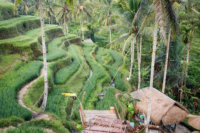 Water Rafting adventure with Jungle Swing & rice terraces - The value of $36: where the money actually goes