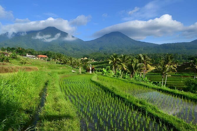 Waterfall Tour: North Bali Best Waterfalls - Banyumala Twin Waterfalls: Swimable Pools and Short Forest Links