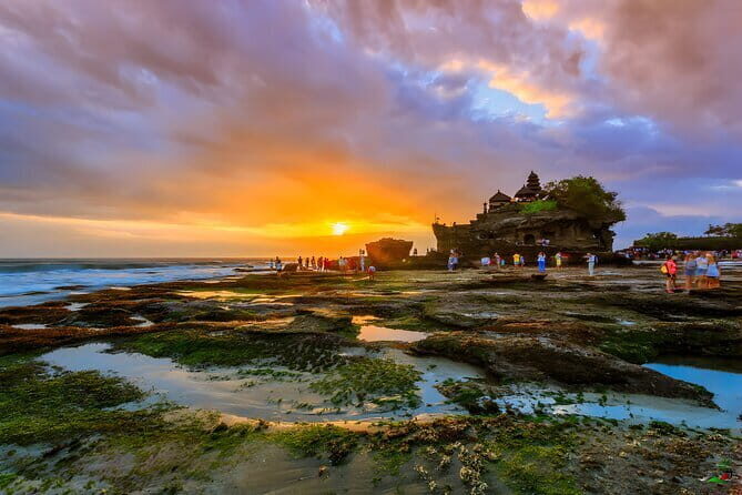 Waterfall Tour: North Bali Best Waterfalls - Price and Value: What $79.99 Really Covers