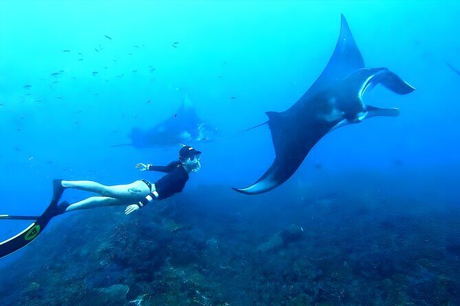West Nusa Penida Island Snorkeling Tour - From Bali Island - West Nusa Penida from Bali: what makes this day work