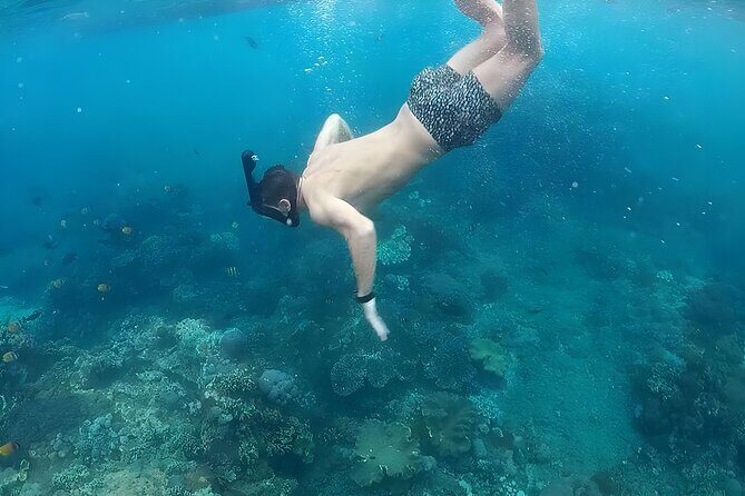 West Nusa Penida Island Snorkeling Tour - From Bali Island - Gamat Bay: first reef stop and the “watch your feet” moment