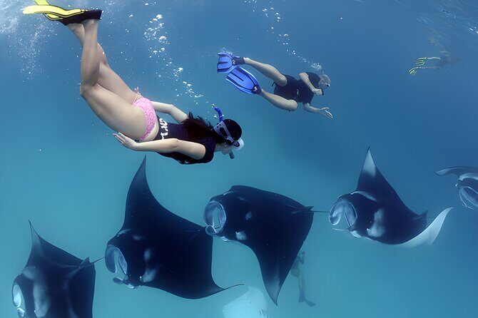 West Nusa Penida Island Snorkeling Tour - From Bali Island - Kelingking Beach: viewpoint first, trek optional at low tide