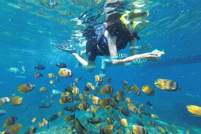 West Nusa Penida With Snorkeling Private Guided Tour - Key highlights worth planning around