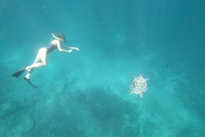West Nusa Penida With Snorkeling Private Guided Tour - A long day across Bali and West Nusa Penida (and why it works)