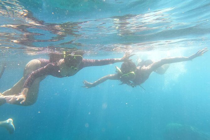 West Nusa Penida With Snorkeling Private Guided Tour - Lunch and young coconut: the simple break that keeps the day sane