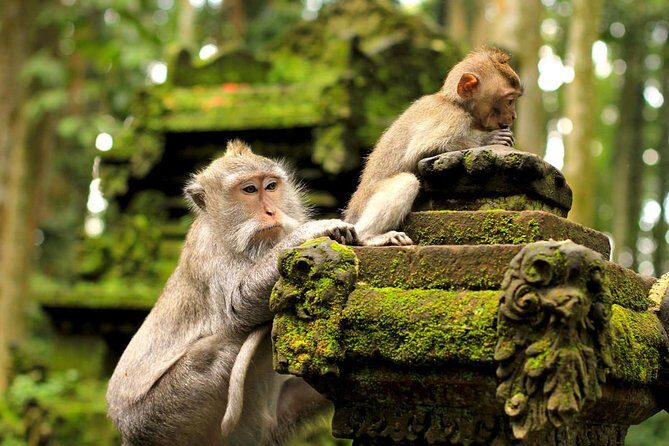 Wonderful Of Ubud Tours - Stop 3: Goa Gajah (Elephant Cave) for a Temple Moment